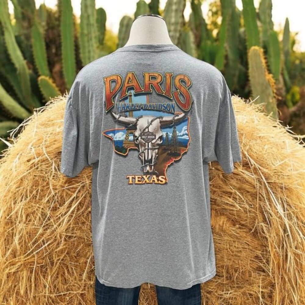 Harley-Davidson Paris Texas T-Shirt‎ Gray Barbed Wire Bull Skull Biker Graphic